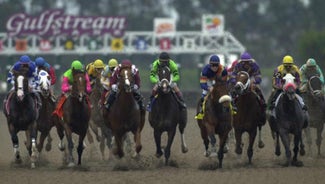 Next Story Image: Everything You Need to Know About the Pegasus World Cup